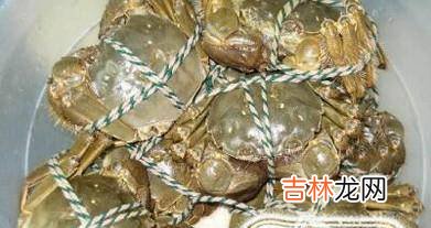 阳澄湖大闸蟹哪个牌子好网购阳澄湖大闸蟹注意?