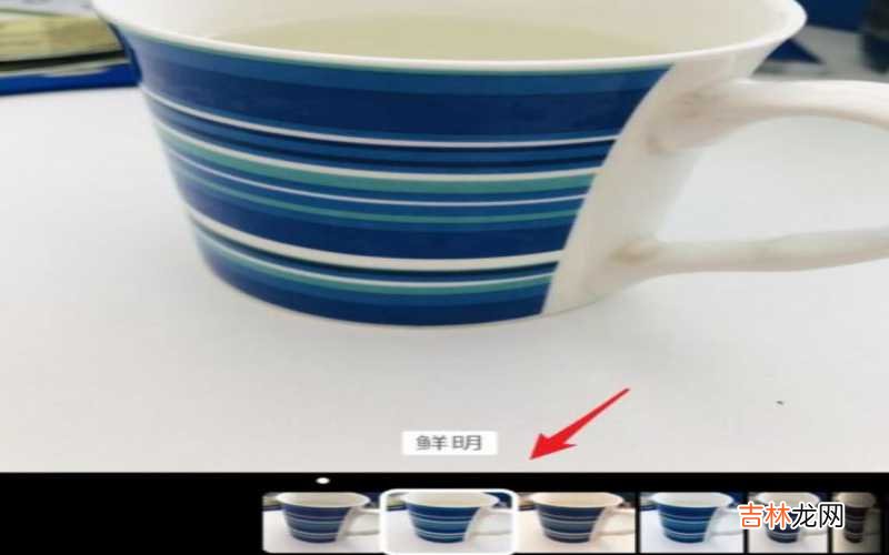 苹果手机拍照怎么设置镜像 苹果手机拍照怎么美颜?