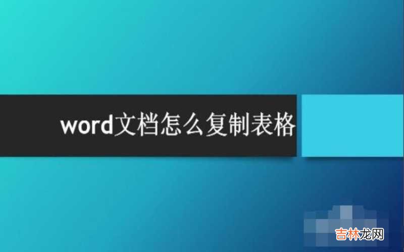 word文档怎么加横线 word文档怎么复制表格?