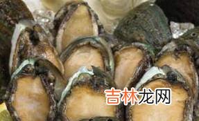 鲍鱼挑选的小窍门?