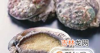 鲍鱼挑选的小窍门?