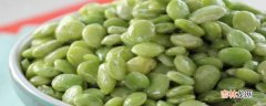 lima beans是什么豆