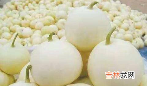 如何挑选出又甜又脆的小白瓜?