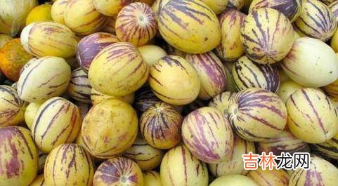 怎么才能挑选到美味的人参果?