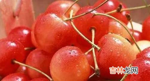 樱桃应该怎么挑选?