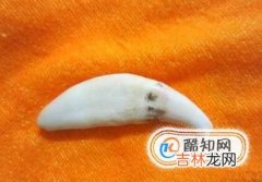 狼牙怎么辨别真假?