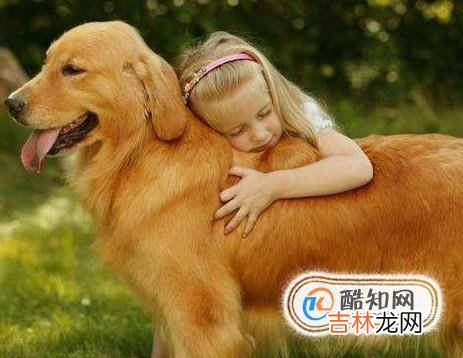 狗狗喜欢主人的表现有哪些?