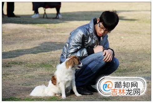 狗狗凶主人怎么办狗狗对主人凶怎么办?