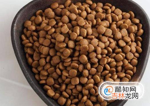 把猫独自留在家里怎么办?