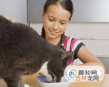 如何养一只可爱听话的猫?