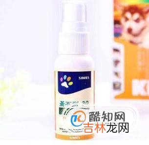 狗狗身上有湿疹怎么办?