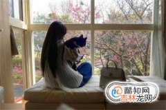 怎么跟猫培养感情?