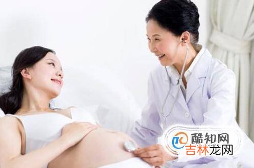 孕妇养狗要注意什么孕妇养狗注意哪些事项?