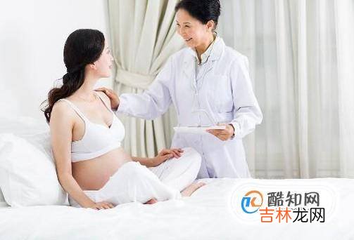 孕妇养狗要注意什么孕妇养狗注意哪些事项?