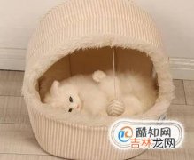 小猫老爱睡在床上怎么办?