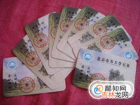 宠物空运宠物航空托运?