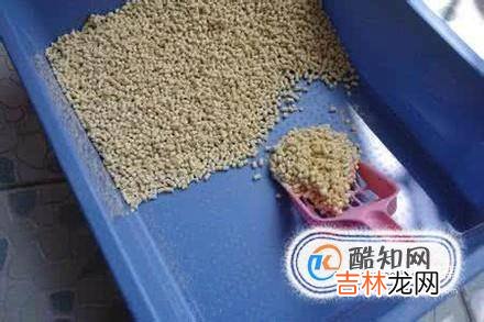 豆腐猫砂好用吗?