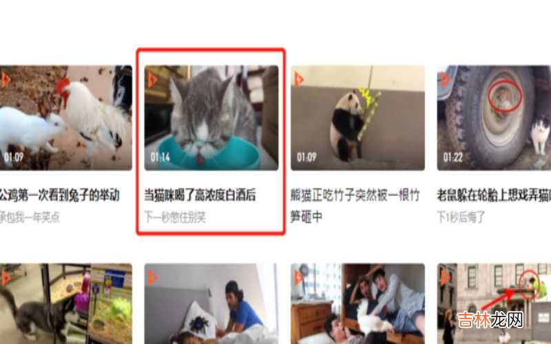 如何下载视频到电脑桌面?