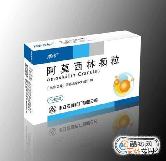 狗耳朵发炎的症状狗狗耳朵化脓阿莫西林?