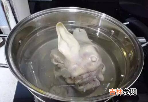 羊头毛怎么能清理干净