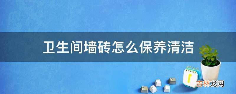 卫生间墙砖怎么保养清洁?