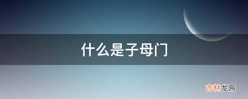 什么是子母门?
