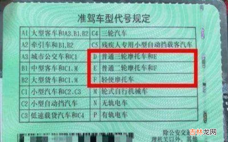 e牌驾驶证能开什么车?