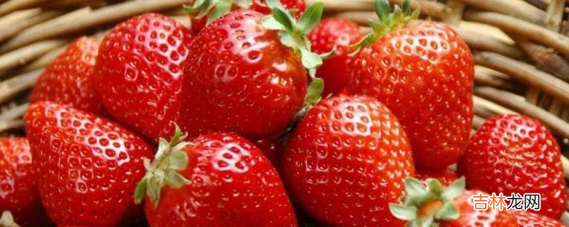 草莓冬季在外面怕冻吗