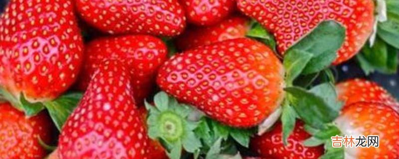 草莓冰箱保鲜可以存几天