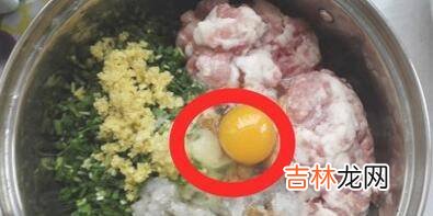 饺子用什么肉