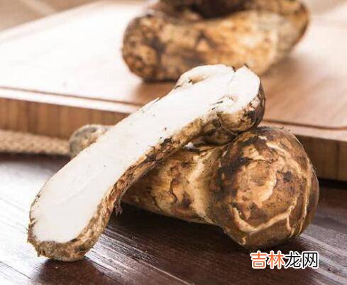 松茸干货怎么吃