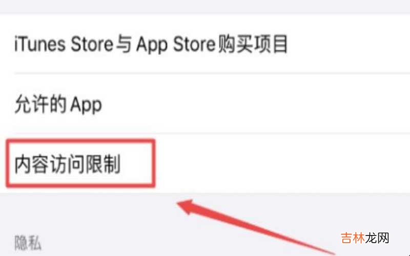 iphone访问限制在哪?