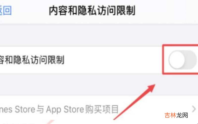 iphone访问限制在哪?