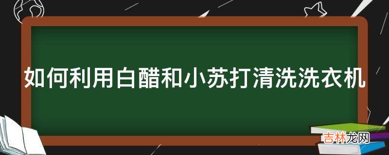 如何利用白醋和小苏打清洗洗衣机?