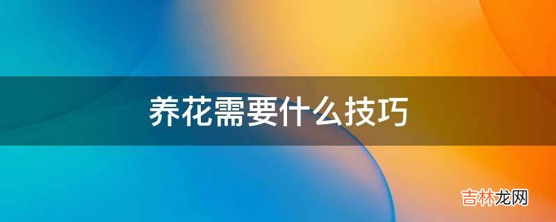 养花需要什么技巧?