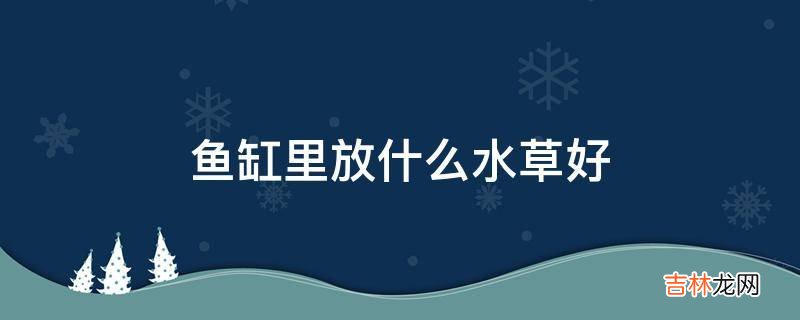鱼缸里放什么水草好?