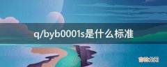 q/byb0001s是什么标准