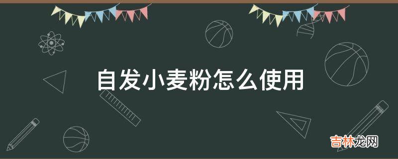 自发小麦粉怎么使用