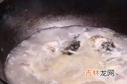 鱼头豆腐汤怎么做又浓又白