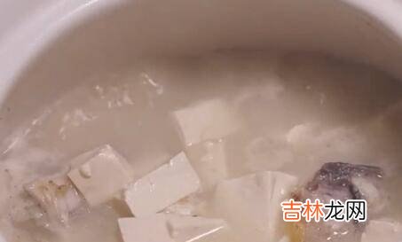 鱼头豆腐汤怎么做又浓又白