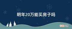 明年20万能买房子吗?