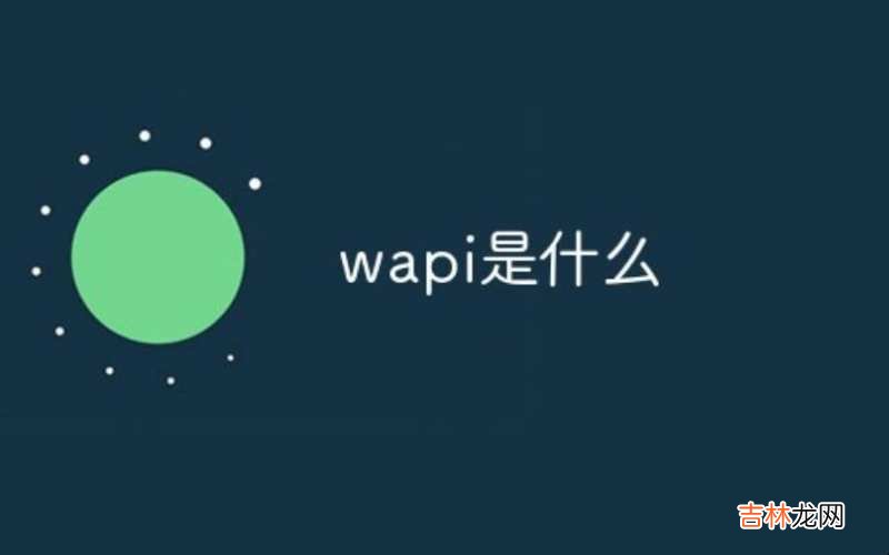 wapi是什么东西?