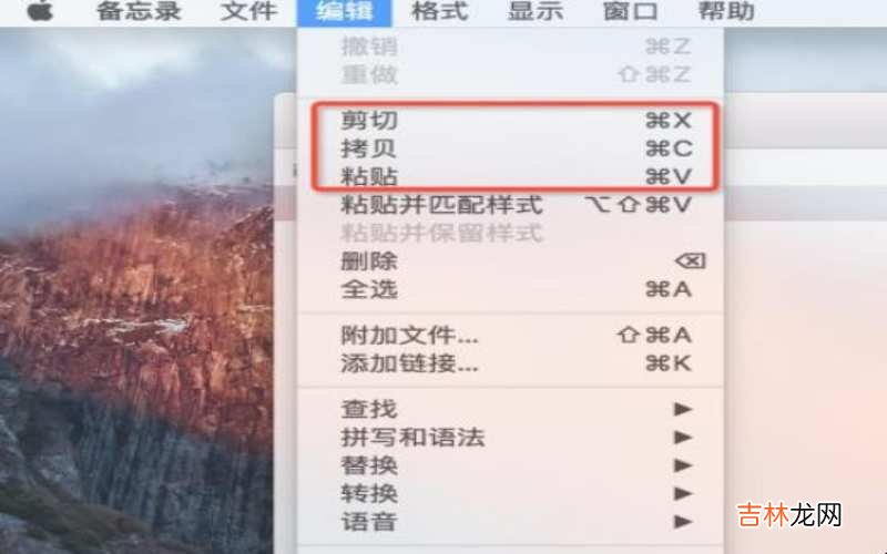 macbook怎么复制粘贴?