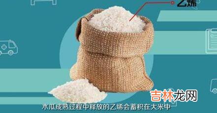 木瓜又青又硬能放熟吗