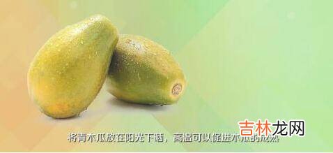 木瓜又青又硬能放熟吗