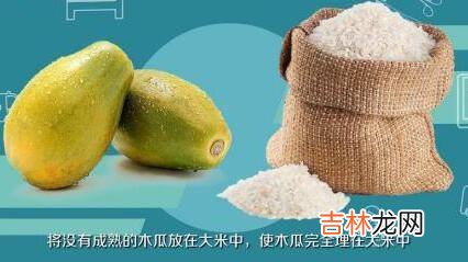 木瓜又青又硬能放熟吗