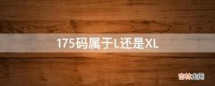 175码属于L还是XL