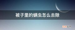 被子里的螨虫怎么去除?