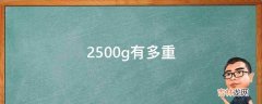 2500g有多重