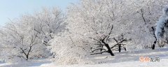 大雪节气的天气特点